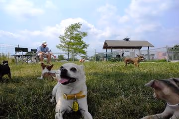 Trantina Farm Dog Park